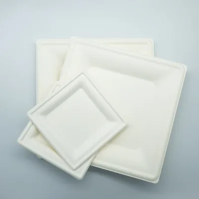 Wholesale Environmentally Friendly Disposable Tableware Degradable Bagasse Fiber Square Paper Plates
