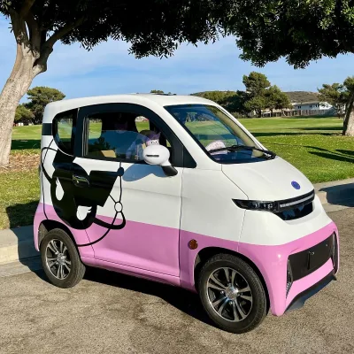 COC Small EV Car 45km/h Lithium Battery Long Range Electric LED Light Support Custom