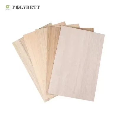 Polybett HPL High Pressure Laminate Phenolic Resin Sheets Laminas De for Hotel Use Supplier in China