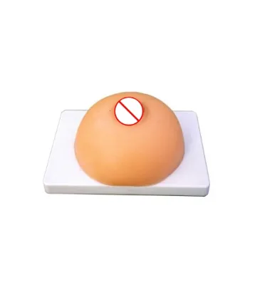 Medical Science Lactation Training Model Lactation Breast Training Model