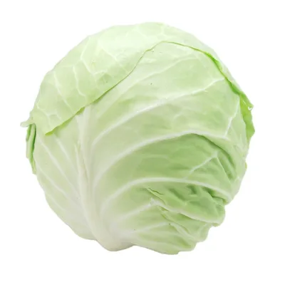 High Quality Best Price New Season Natural Healthy Frozen Cabbage Dice