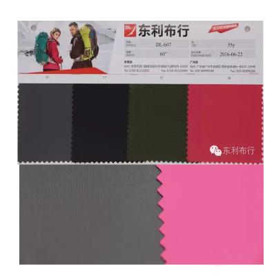 Cheap 600D Fabric for Home Fabric