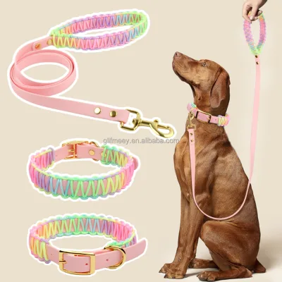 Hand Braided Rainbow Dog Collar Leash Set PVC Coated Webbing Adjustable Pet Collar Leash for Small Medium Dogs