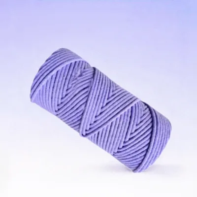 Hot Sale 100% Polyester Drawcord Waterproof High Tenacity Eco-Friendly Braided for Bags Shoes Crafts