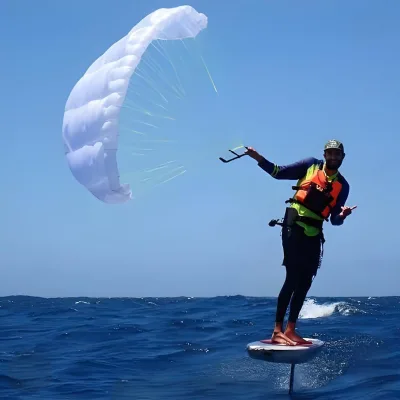 New Arrival Parawing Water Sports Foil 4m Paraglider Wings Nylon Hydrofoil Wind Kite Surfboard for Board Wave Surfing Wingfoil