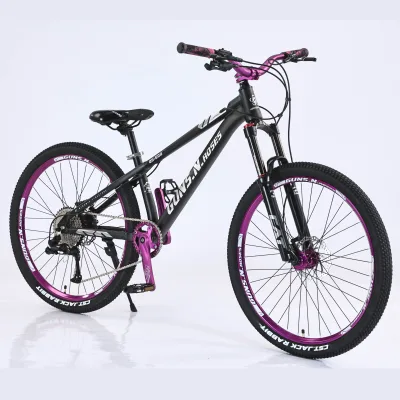 Top-grade 700C Aluminum Alloy Mountain Bike Frame with Oil Disc and Aluminum 120 Points Ratchet Hub