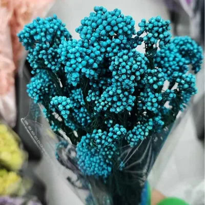 Eco-Friendly Preserved Dried Rice Flower for Christmas Wreaths Valentine's Day Crafts Year-Round Centerpieces