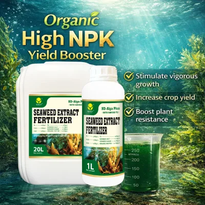 Seaweed Fertilizer Kelp Extract Liquid for Fruits Improve Quality and Size