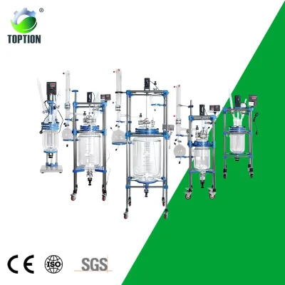 For High Precision 20L Electric Heating Glass Stirrer Reactor Engine Double Layer Design High Borosilicate Glass Automatic