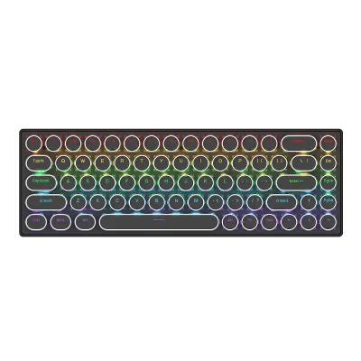 Compact RGB Gaming Keyboard Ergonomic Mini Office Keyboard for windows Pc Players 68 Keys Punk Tri-mode Mechanical Keyboard
