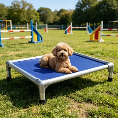 Humanized Optimized Aluminum Profile Dog Bed Firm Shock Resistant Frame for Medium Large Dogs Comfortable Sleeping Time
