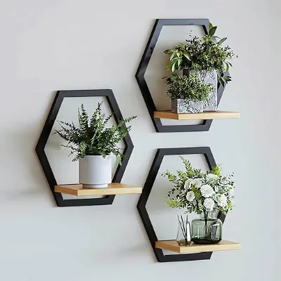 Black Hexagon Wall Mount Floating Shelf Set, Wooden Display Rack for Succulent Vase Home Wall Decor