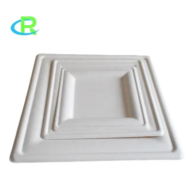 OEM Logo Design Biodegradable Paper Fiber Plates Set Disposable Paper Plate 9 inch Plate