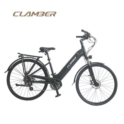 E Bike Wholesale Customization Battery E Bike Electric Bicycle EB5020E