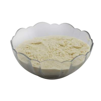 Protein Powder Supplements Bodybuilding in Sports Supplement