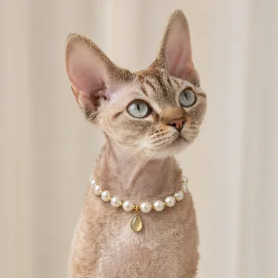 Pastel-Colored Waterdrop Gemstone Princess Style Necklace Cat Collar Dog Neckband Pearl-Accented Elegant Accessory for Kittens