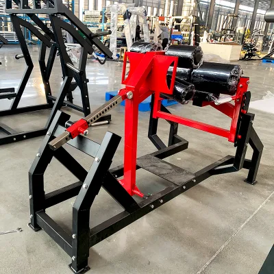 Fitness Glute Ham Developer Raise Gym Equipment Glute Machine for Body Building Glute/Ham Bench
