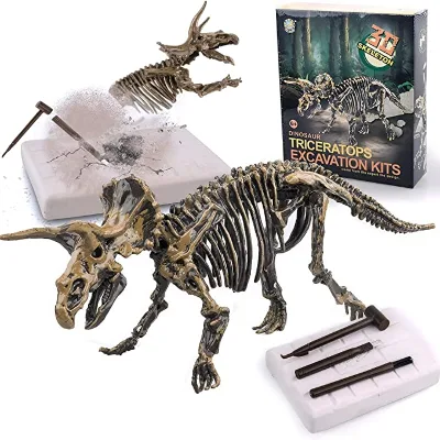 3D Dino Fossil Bones Excavation Science Kit Dig up Dinosaurs Skeleton Set Dinosaur Fossil Digging Kit for Kids