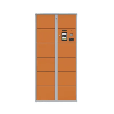Smart Storage Locker Face ID 24/7 Access 12 Compartments 156 Lb+ Capacity for Beach Pool Gym Hotel Train Station Shopping Mall