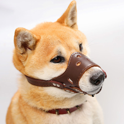 Anti-bite Muzzle for Dogs Can Adjustable Dog Muzzle Softly for Pets