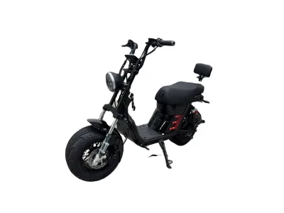14-inch Steel Frame Electric City Bike with a Backrest Seat