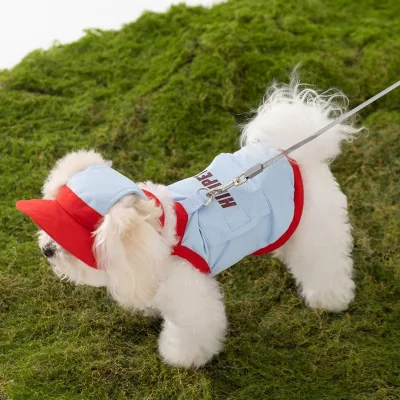 HW Dog Cooling Cartoon Vest
