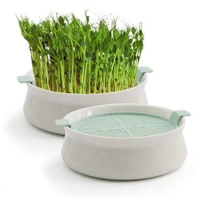 Ceramic Terracotta Seed Sprouter Trays Nursery Plant Trays Eco-Friendly Portable for Growing Seedlings and Microgreens