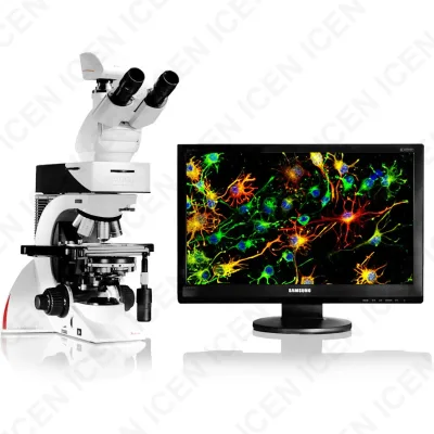Leica Dm1000 Trinocular Apo Fluorescence Microscope