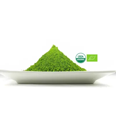 High Quality Organique Poudre De Matcha From Usine Source