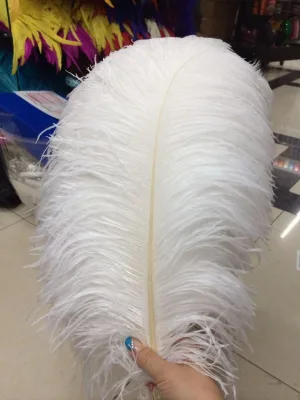 Green Ostrich Feather Raw Pattern 60-65cm DIY Flower Party Event Desktop Kit Carnival Dress and Wedding Decoration