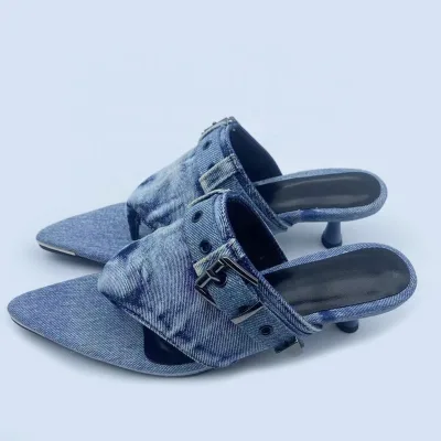 Denim Low Heels Women Clip Toe Slippers Shoes Buckle Straps Thong Dress Sandals Summer Pointed Toe Mules