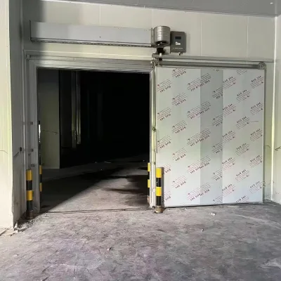 Cold Room Storage Refrigeration 10 to 100 Ton Blast Freezer Price for Meat Fish Chicken Onion Vegetable Fruit