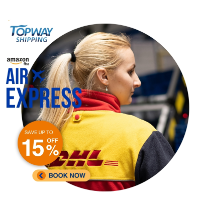 Professional Freight Forwarder by air Express