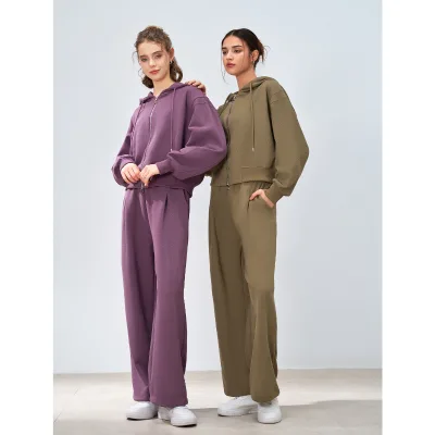 Aoyema Custom Wholesale Sports Wear Set High Quality Fashion Hoodie Breathable Loose Zipper Solid Color Elastic Waist Closure