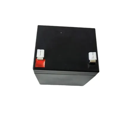 Customize Lifepo4 Battery Pack  12v 6a 12a High Quality Lithium Battery Pack with case