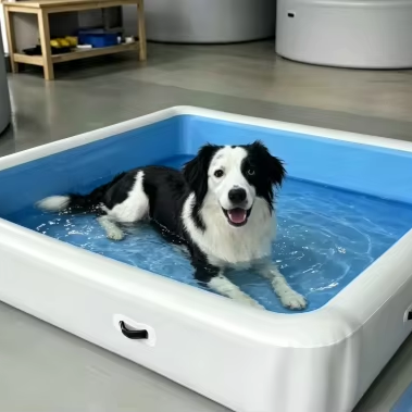Kids & Pet 2 in 1 Inflatable Pet Pool Eco-friendly PVC for Small Medium Large Dogs Custom Size