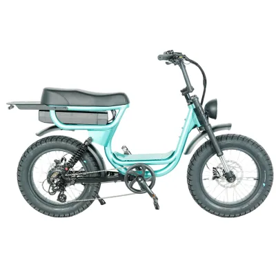 Hot Selling Retro Electric bicycle with 20 Inch Dual Suspension 48v 250w-1000w Big Power Electric Bike with U L Certification