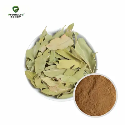Dogbane Leaf Extract Powder 10:1 Apocynum Venetum Natural Plant Extract for Dietary Supplements Food Grade Bulk