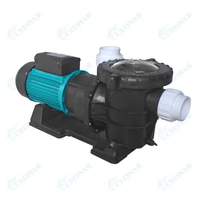 China 220V Swimming Pool Water Pump Cheap in Store