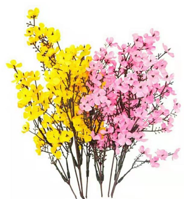 Dried Flower Dye