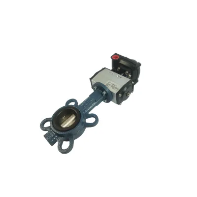 Butterfly Valve D671 Water Valve