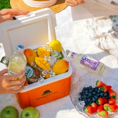 Custom Beach Camping Cooler Fashion 5L Cute PU Foam Ice Chest Cooler With Handle