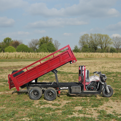 9 Rounds Professional Heavy Duty Mini Transporter Dumper Reverse Tricycle Cargo for Adults 500kg Curb Weight Made in China