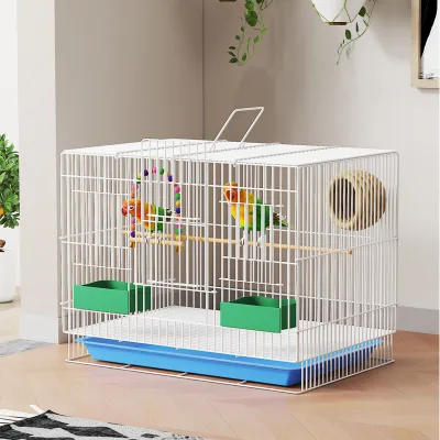 Durable Large Metal Bird Cage Luxury Iron Aviary Designed for Multiple Birds Made in China Boxed for Easy Outdoors Access