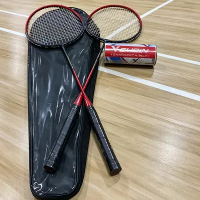 2026 Badminton Rackets Set for Backyards, Badminton Set, Include 2Rackets, 3 Birdies, 1 Carrying Bag, Outdoor Game for Beginner