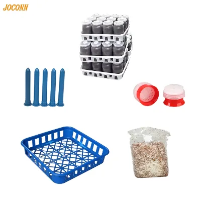 Hot Selling Oyster Mushroom Growing Bottle Mushroom Cultivation Bottle Mushroom Production
