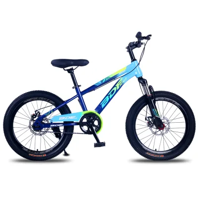BDF Factory Kids 16 18 20 22 24 Inch Adult Bike MTB Bicycle Single Speed with Ordinary Pedal Disc Brake Steel Fork City Cycle