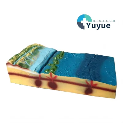3D Seafloor Topography Model, Ocean Landform Teaching Model for Geography Classroom Education
