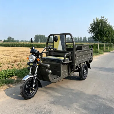 Romania Stock Foldable Adult Electric Tricycle 1000W Low Speed Safe Family Shopping Trike