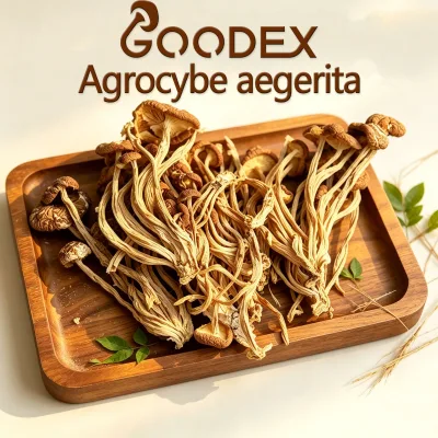 GOODEX Dried Cultivated Agrocybe Aegerita Raw 10kg/Box Factory Direct